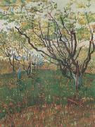 Orchard in Blosson (nn04) Vincent Van Gogh